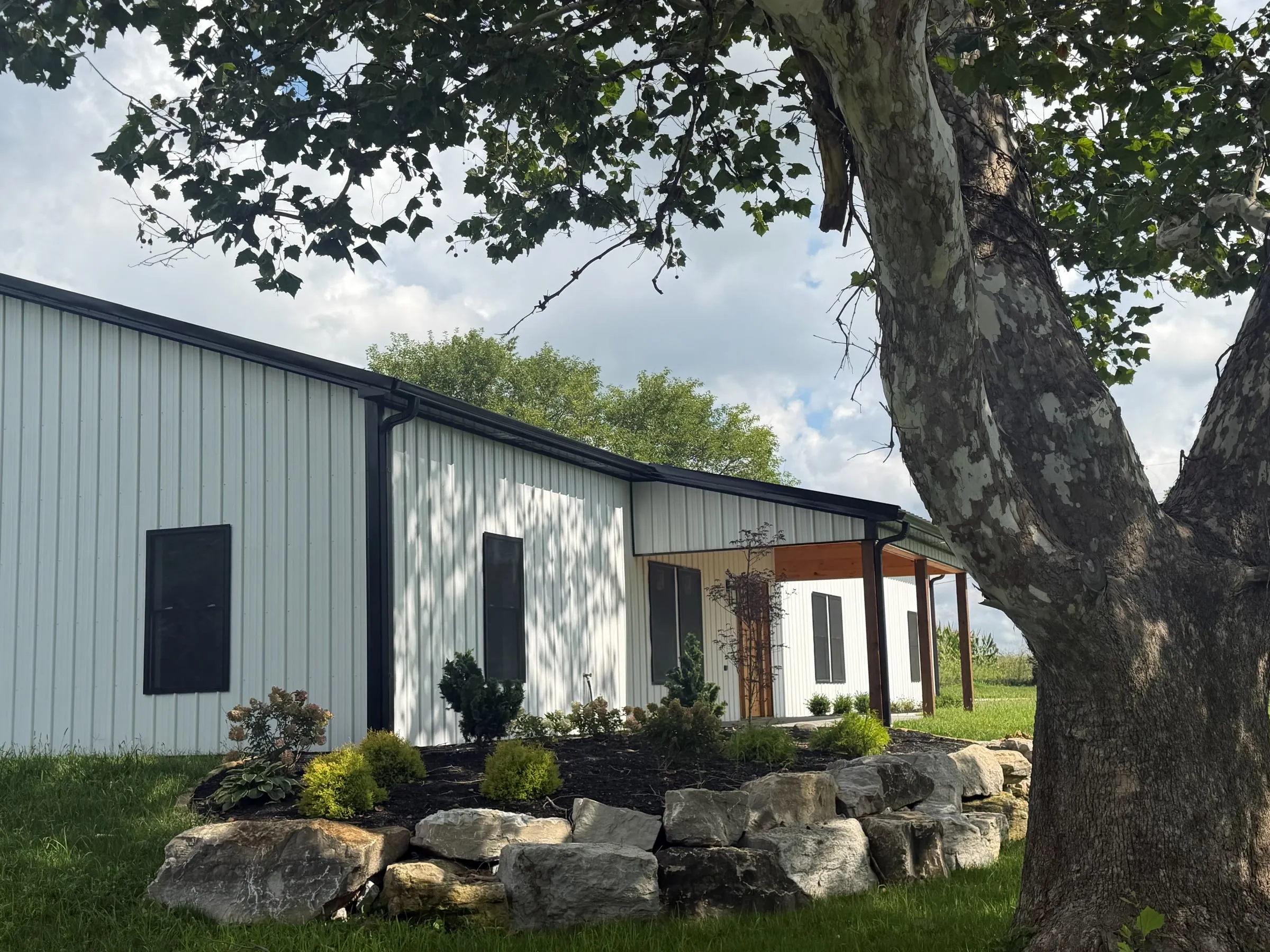 White building with a gray roof and a covered porch entry with stone landscaping and a sycamore tree